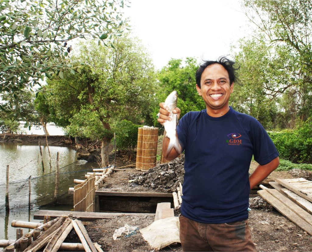 tambak ikan bandeng