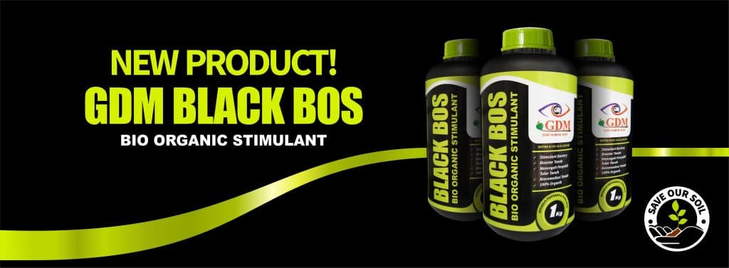 bioremediasi gdm black bos .