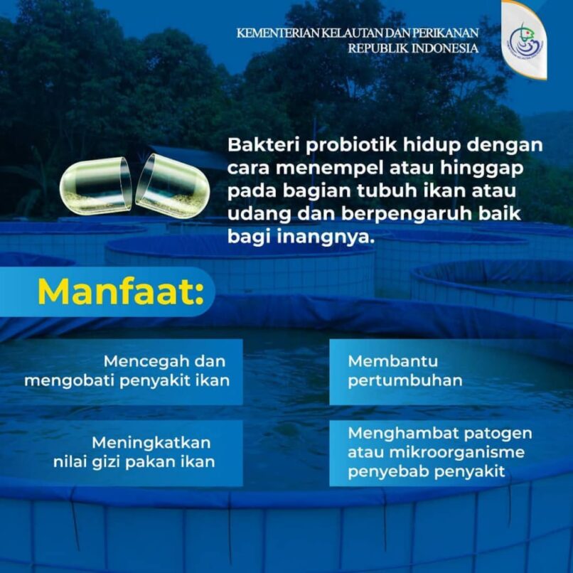 Cara Budidaya Ikan Bandeng Yang Terbukti Meningkatkan Hasil Panen