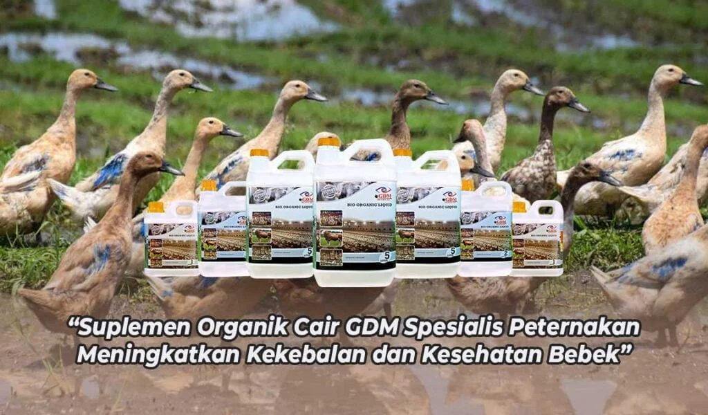 probiotik bebek