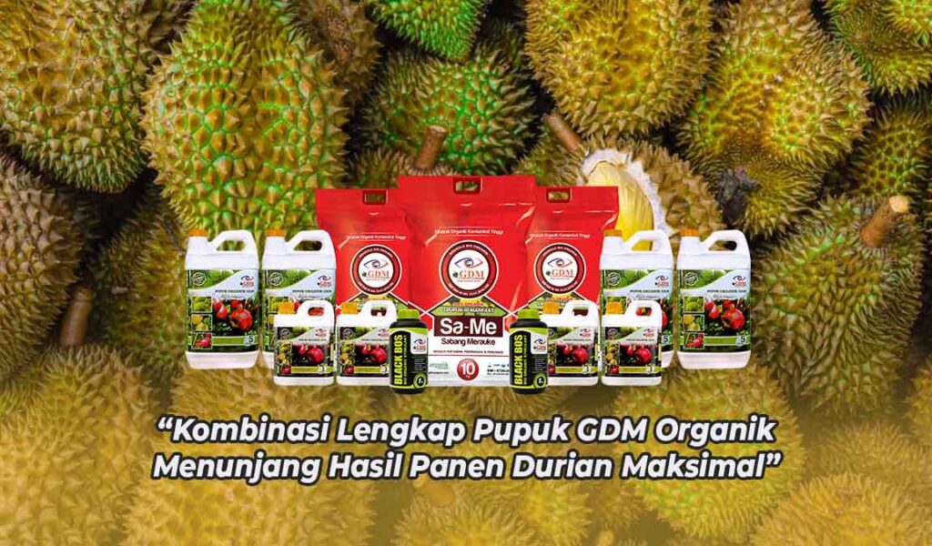 pupuk durian