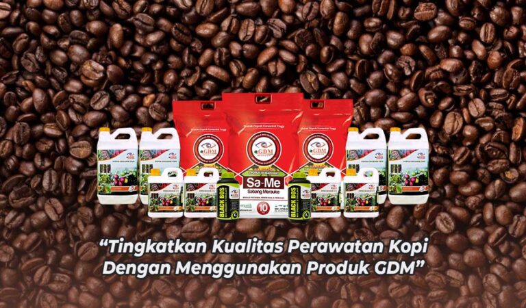 Hama Dan Penyakit Pada Tanaman Kopi: Jenis, Gejala Serangan, Penyebab ...