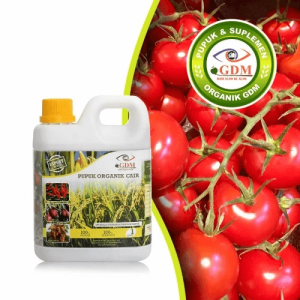 GDM Pupuk Organik Cair Untuk Tomat