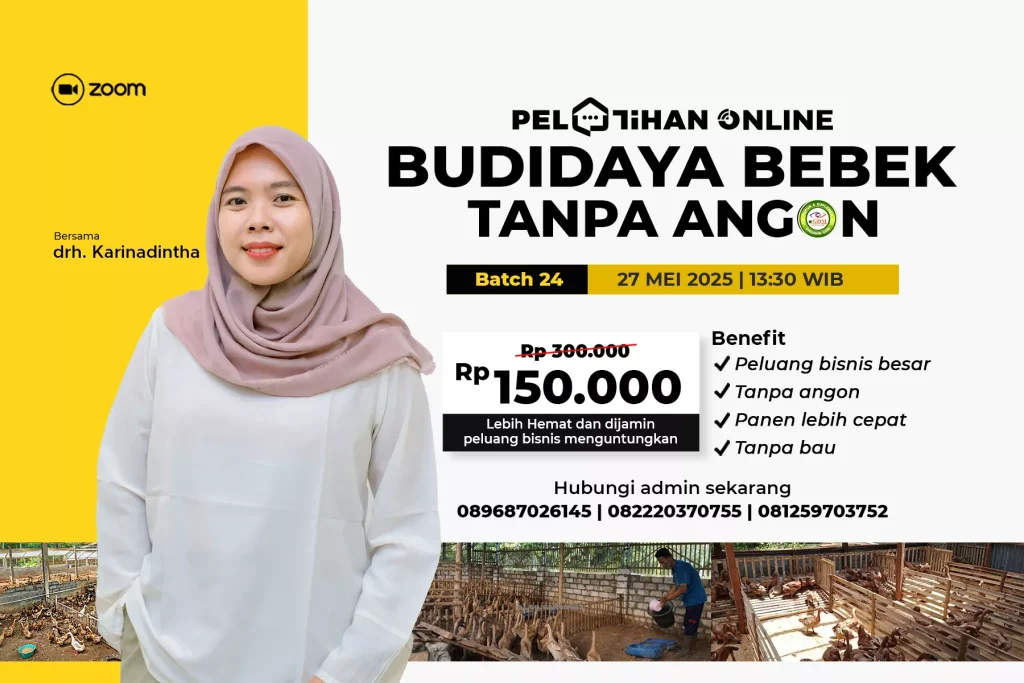 Budidaya Bebek - Batch 24 - 1