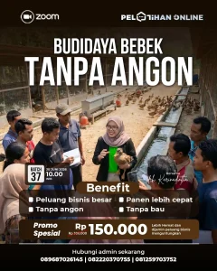 Banner Mobile Pelatihan Bebek Batch 37