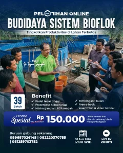 Banner Mobile Pelatihan Bioflok Batch 39